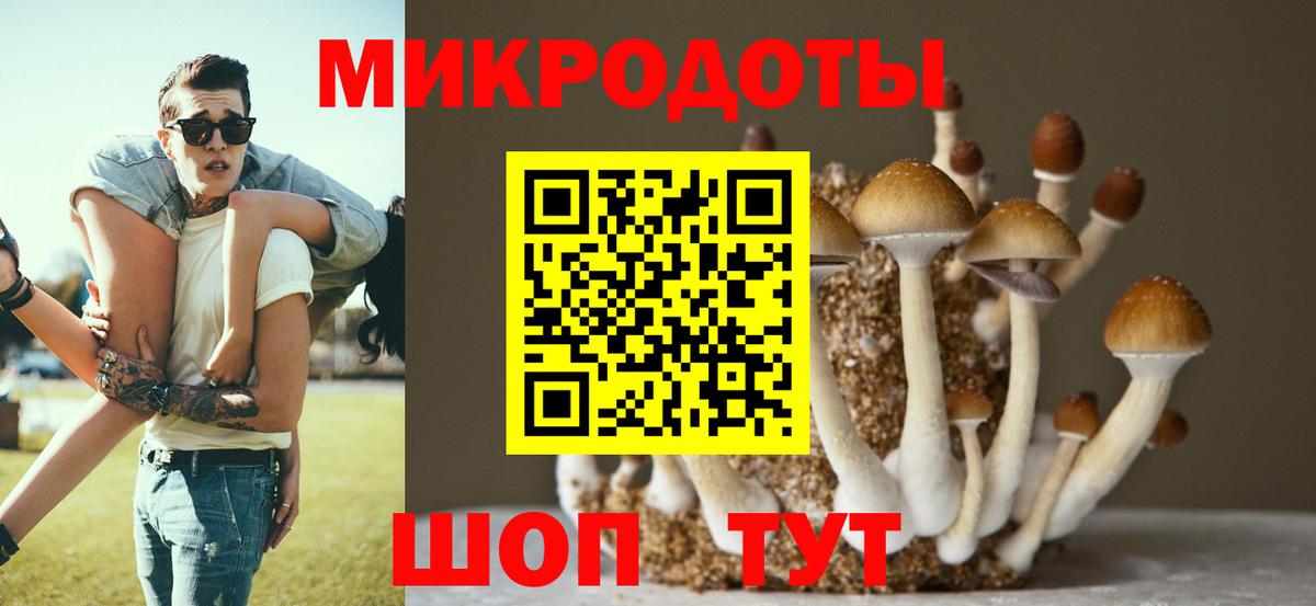 Псилоцибиновые грибы мухоморы Новотроицк